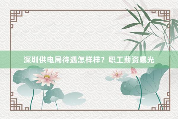 深圳供电局待遇怎样样？职工薪资曝光